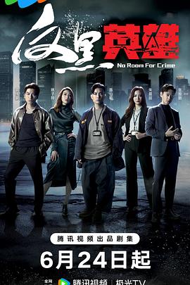 反黑英雄国语 风月影院
